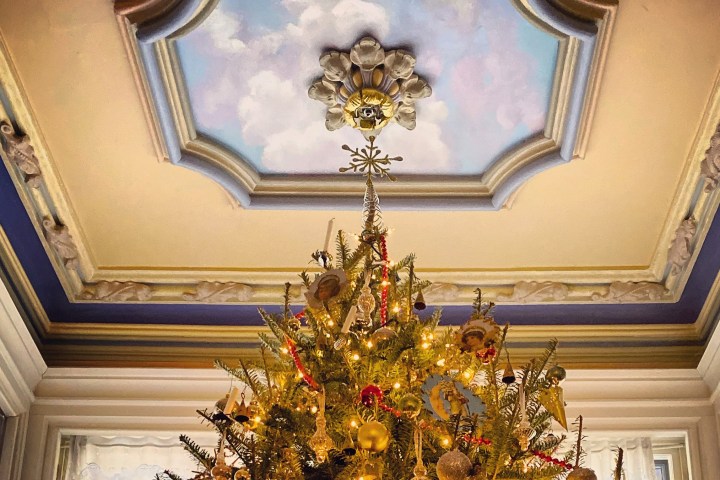 a vase of flowers sits in front of a window