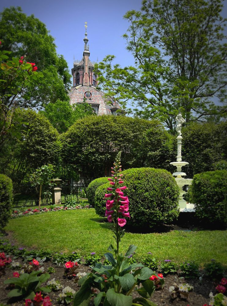 a close up of a Victorian garden