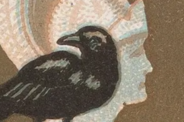 Black bird in front of a human profile with helmet.