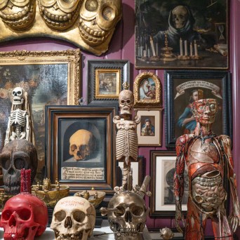 Room with skulls, skeletons, anatomical models, and framed art on walls.