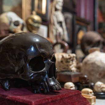 A black skull on a red cloth surrounded by various skulls and bones.