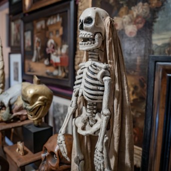 Skeleton display with assorted art and skulls in a gallery.